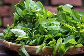 Giảm cân tại nhà hiệu quả với những món ăn đơn giản từ rau ngót