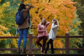 Em không nghe rừng thu, lá thu kêu xào xạc...