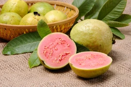 Những công dụng bất ngờ của cây ổi