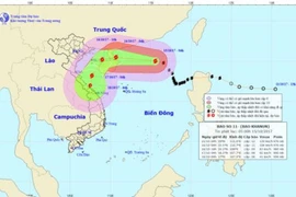 Tin mới nhất về cơn bão số 11