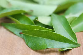 Lợi ích sức khỏe của lá cà ri