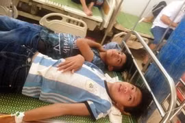 Bị ong rừng tấn công bất ngờ, 15 học sinh phải nhập viện cấp cứu