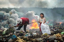 Nghệ sĩ Nhiếp ảnh Nguyễn Linh Vinh Quốc đoạt giải thưởng cao nhất