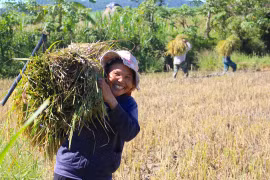 "Cần câu" của người nghèo