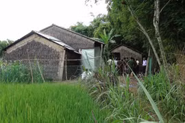 Người phụ nữ bị cướp đâm tử vong với 37 nhát dao