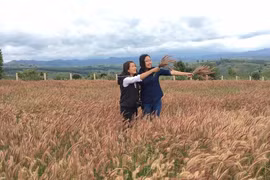 Pleiku hoa cỏ cuối đông