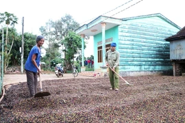 "Điểm tựa" của làng Máih