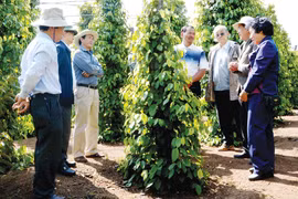 Triển vọng nông nghiệp công nghệ cao