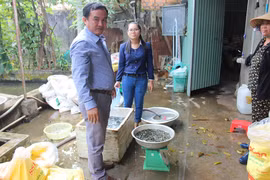 Thả trên 61 vạn cá giống ra hồ chứa Chư Prông