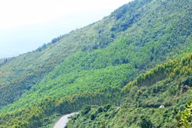 Những con đường cổ kết nối An Khê với Bình Định