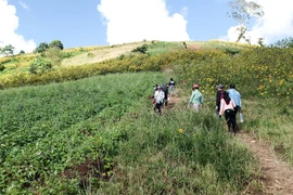 Quảng bá du lịch, cần những ý tưởng mới