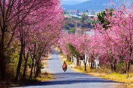 5 điểm đến cho kỳ nghỉ Tết dương lịch sắp tới