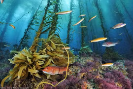 Khoảnh khắc thiên nhiên kỳ thú khiến bạn muốn đến ngay nơi đó