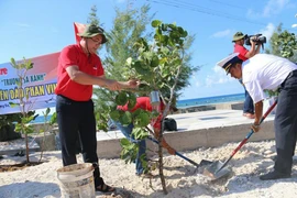 Màu xanh trên đảo Trường Sa