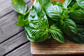 7 thảo dược đánh bại cảm lạnh