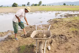 Tết buồn của người dân vùng lũ