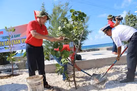 Màu xanh trên đảo Trường Sa