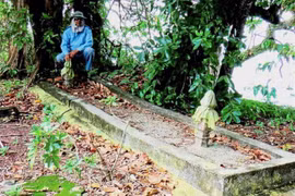 Malaysia phát hiện bộ xương của người khổng lồ cao 3-5m