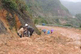 Sạt lở nghiêm trọng ở miền núi Quảng Ngãi, hơn 600 hộ dân bị cô lập