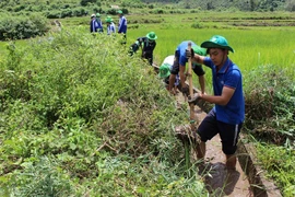 Tuổi trẻ Mang Yang vì cuộc sống cộng đồng