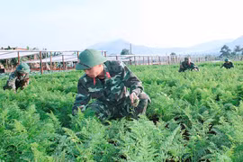 Quân đoàn 3: Tiết kiệm để cải thiện đời sống bộ đội