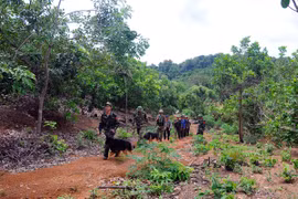 Người dân vùng biên bảo vệ "phên giậu" quốc gia