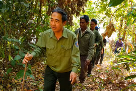 Gác rừng giữa chốn thâm sơn