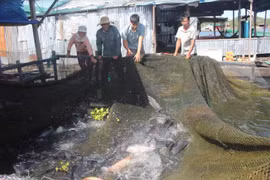 Làng chài của người Nam Bộ trên cao nguyên bazan