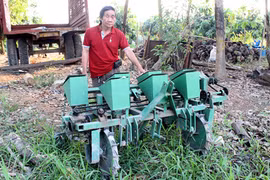 "Kỹ sư già" và giấc mơ cánh đồng mẫu lớn