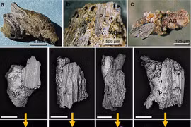 Bí ẩn "thảm đen ma quái" đầy bạch kim, thủy tinh ở di chỉ kỷ băng hà