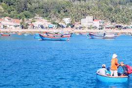 Bình Định tạm dừng hoạt động đón khách tham quan đảo Cù Lao Xanh