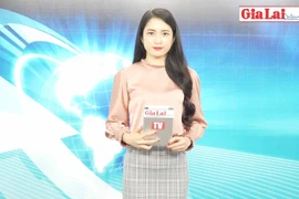 Gia Lai 48h: TP.Pleiku - Địa bàn trọng điểm phức tạp về tội phạm và tệ nạn ma túy