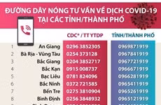 [Infographics] Đường dây nóng phòng chống COVID-19 tại các tỉnh thành