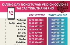 [Infographics] Đường dây nóng phòng chống COVID-19 tại các tỉnh thành