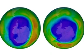 Tầng ozone bảo vệ trái đất được chữa lành