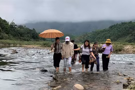 Lên bản mùa 'Cô Vi'