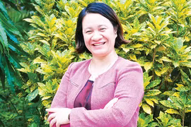 Nhiệt điện than: Nếu không 'phanh' lại thì sẽ là những 'quả bom nổ chậm'