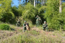 Lá chắn thép nơi biên cương Tổ quốc