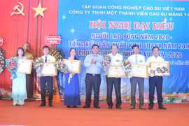 Cao su Mang Yang phấn đấu tổng doanh thu đạt hơn 168 tỷ đồng