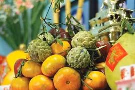 Thanh minh trong tiết… Corona!