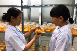 Trung tâm Ứng dụng tiến bộ khoa học và công nghệ: Làm chủ công nghệ mới