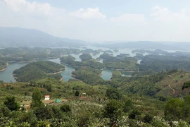 Thơm ngát Tà Đùng