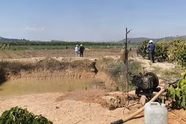 Cấp bách ứng phó hạn hán ở Nam Trung Bộ và Tây Nguyên