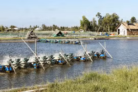 Làng 'thuận thiên' không sợ mặn