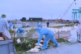 Vừa lo Covid-19 vừa lo bệnh ở động vật, Thủ tướng ra chỉ thị khẩn