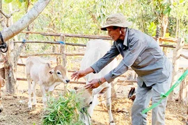 Rơ Châm Hneoh: Bí thư miệng nói tay làm