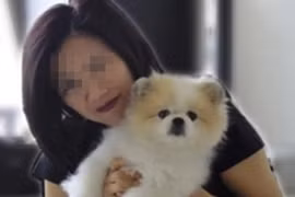 Hong Kong xác nhận chó nhiễm nCoV, kịch bản Covid-19 trên động vật ra sao?