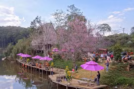 Vườn "Thượng Uyển" ở Bắc Tây Nguyên