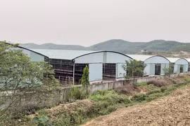 'Bầu' Đức và Tập đoàn HAGL liên quan gì vụ án Trần Bắc Hà?