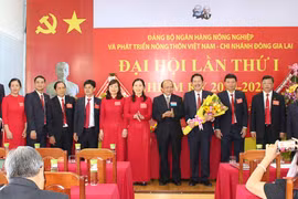 Agribank Đông Gia Lai: Khẳng định vị thế, phát triển bền vững